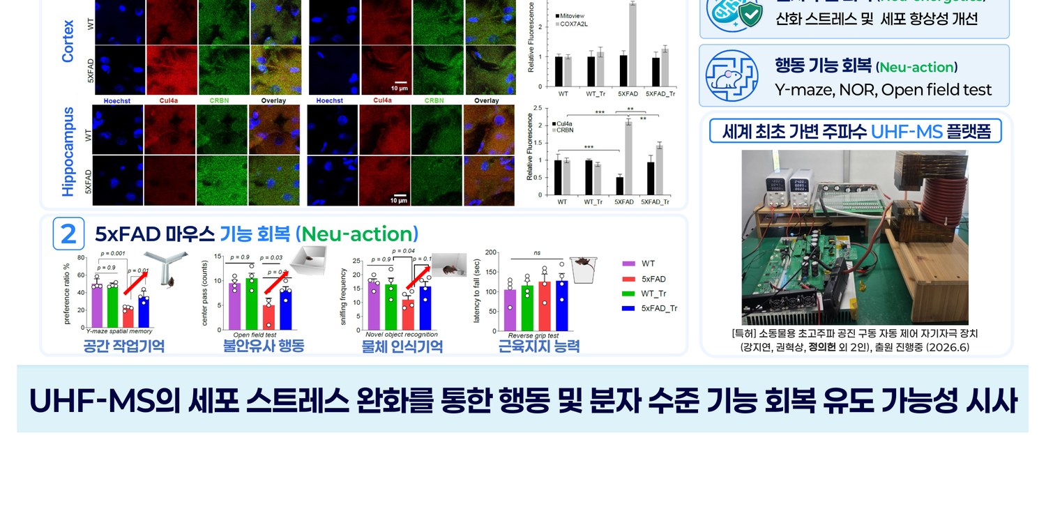 Preliminary 5xFAD results: cellular homeostasis improvement (Neu-energetics) and behavioral recovery (Neu-action)