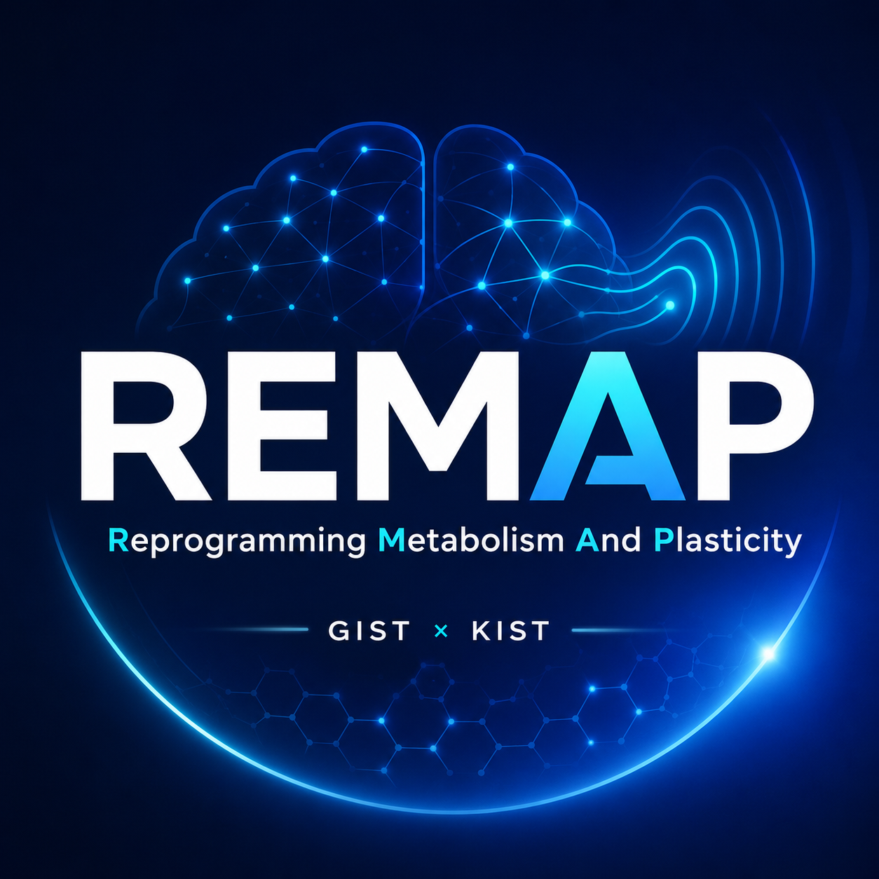 REMAP logo