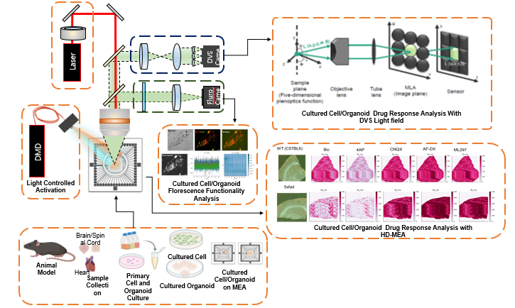 AI-based neuro electrophysiology platform