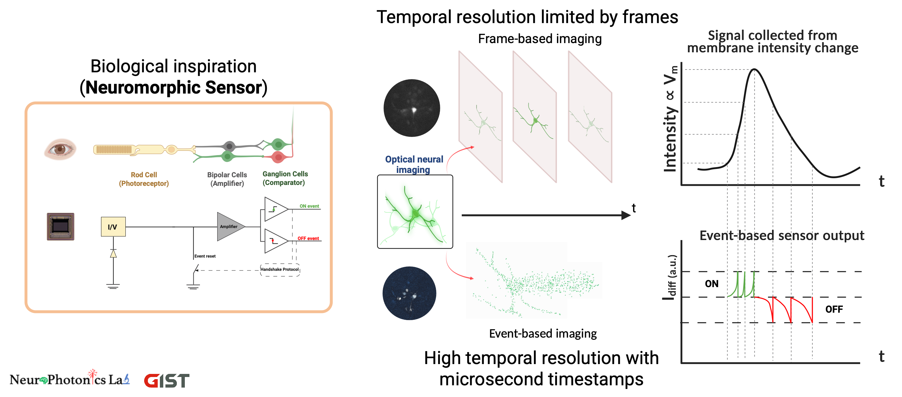 Neuromorphic event-based optical neural imaging