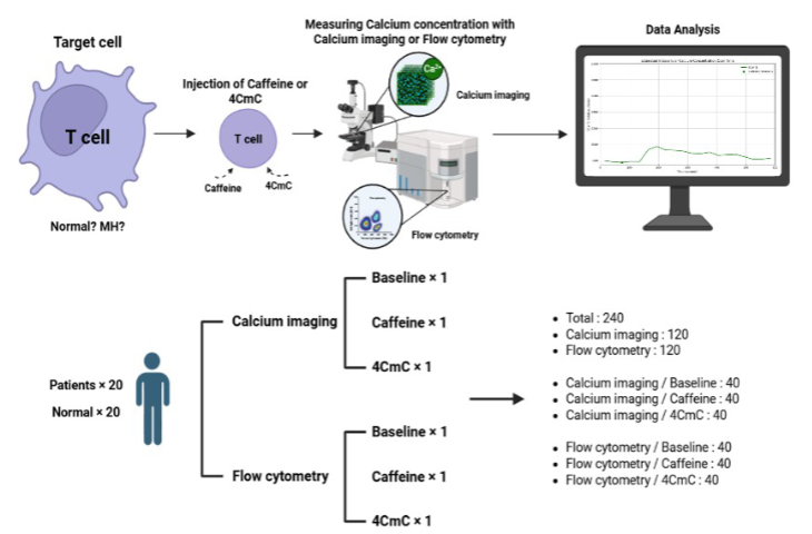 Functional Diagnosis via Calcium Dynamics